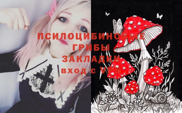 круглые Заводоуковск