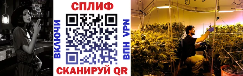 где купить наркотик  Петров Вал  Каннабис гибрид 